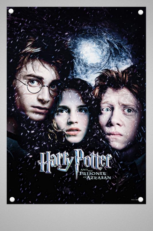 Harry Potter Duvar Poster Film 1 2 3 4 5 6 7