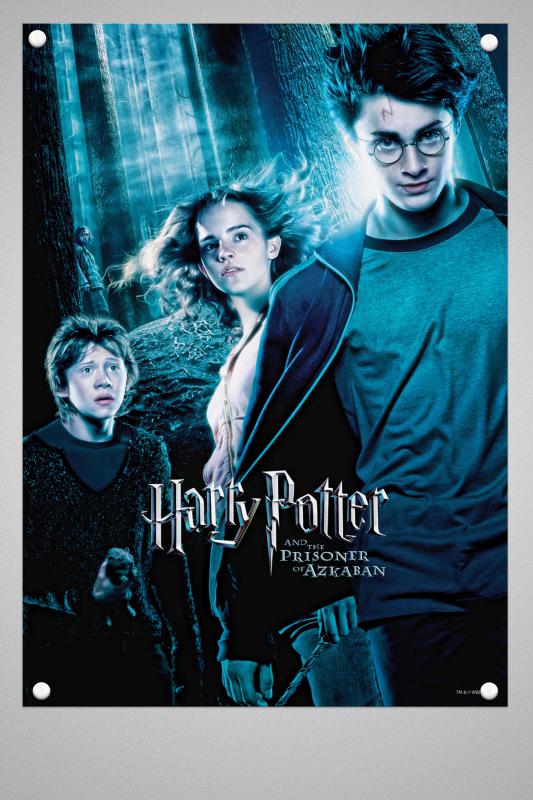 Harry Potter Duvar Poster Film 1 2 3 4 5 6 7