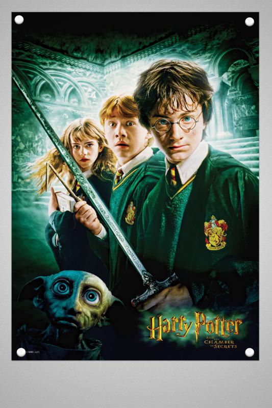 Harry Potter Duvar Poster Film 1 2 3 4 5 6 7