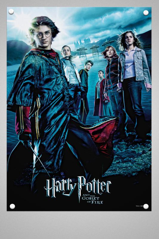 Harry Potter Duvar Poster Film 1 2 3 4 5 6 7