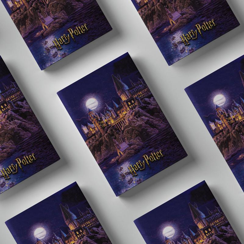 Kitap Görünümlü Dekoratif Kutu 18x26,8 cm Harry Potter Hogwarts Binası Lisanslı