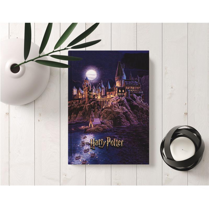 Kitap Görünümlü Dekoratif Kutu 16,5x24,5 cm Harry Potter Hogwarts Binası Lisanslı