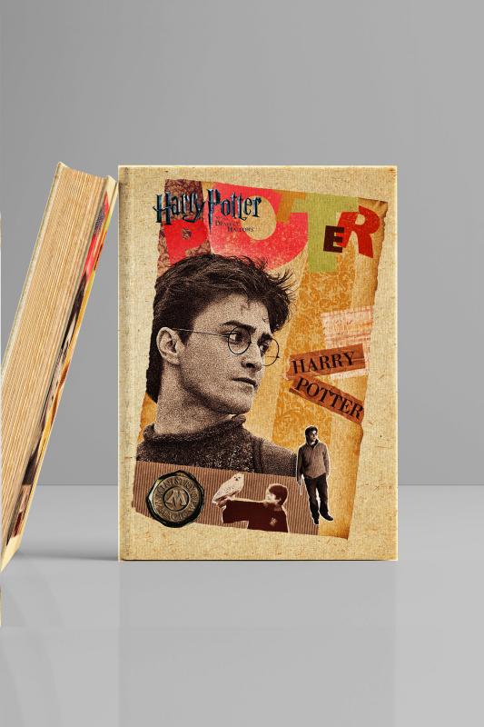 Kitap Görünümlü Dekoratif Kutu 16,5x24,5 cm Harry Potter & Hermonie Granger Lisanslı