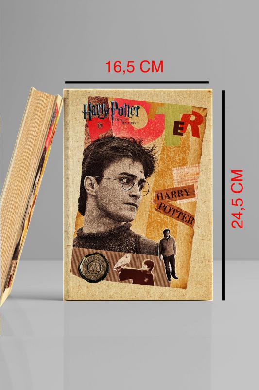 Kitap Görünümlü Dekoratif Kutu 16,5x24,5 cm Harry Potter & Hermonie Granger Lisanslı