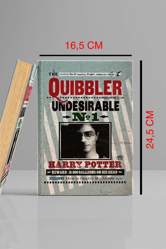 Kitap Görünümlü Dekoratif Kutu 16,5x24,5 cm Harry Potter Quibbler Lisanslı