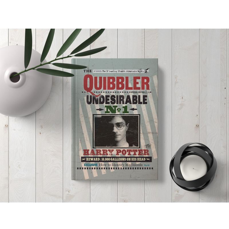 Kitap Görünümlü Dekoratif Kutu 16,5x24,5 cm Harry Potter Quibbler Lisanslı