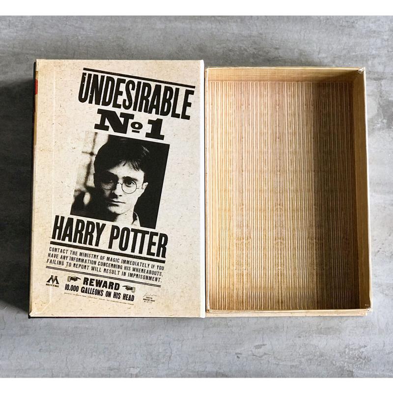 Kitap Görünümlü Dekoratif Kutu 14x21,5 cm cm Harry Potter & Hermonie Granger Lisanslı