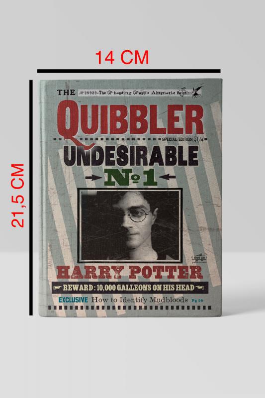 Kitap Görünümlü Dekoratif Kutu 14x21,5 cm cm Harry Potter Quibbler Lisanslı