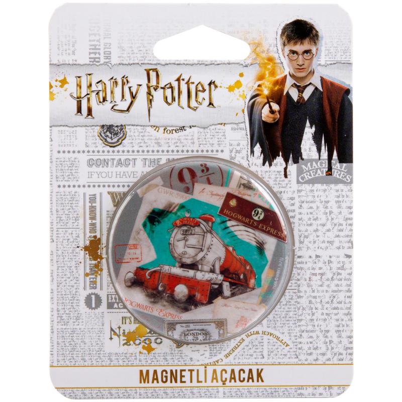 Kapak Açacağı Magnetli Harry Potter Lisanslı Özel Tasarım