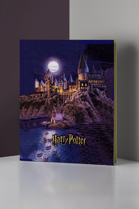 Kitap Görünümlü Dekoratif Kutu 3’lü Set Harry Potter Hogwarts Binası Lisanslı