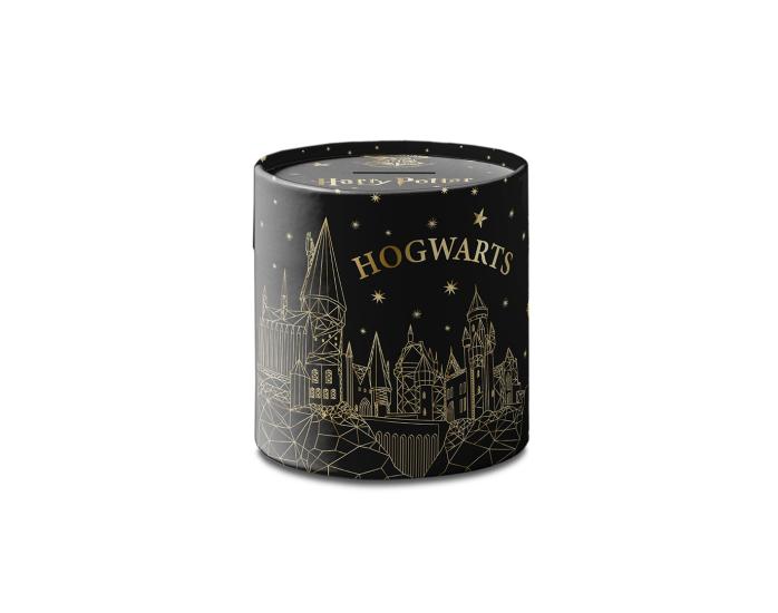 Harry Potter Temalı Metal Kumbara