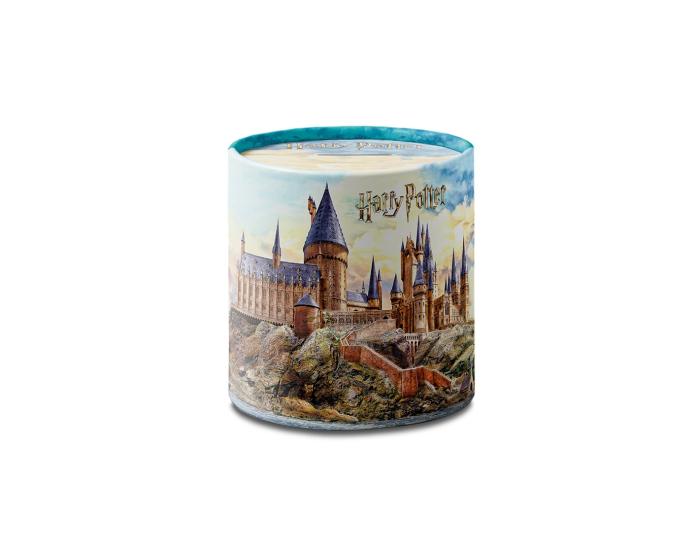 Harry Potter Temalı Metal Kumbara