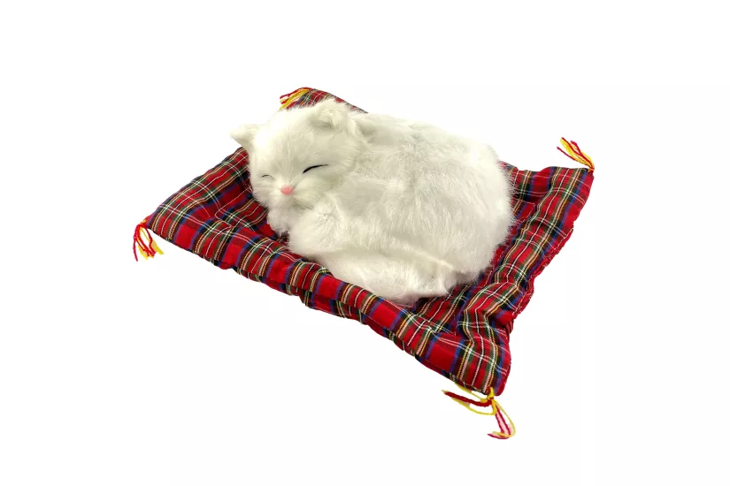 Tatlı Patiler Uyuyan Kedi Büyük Boy