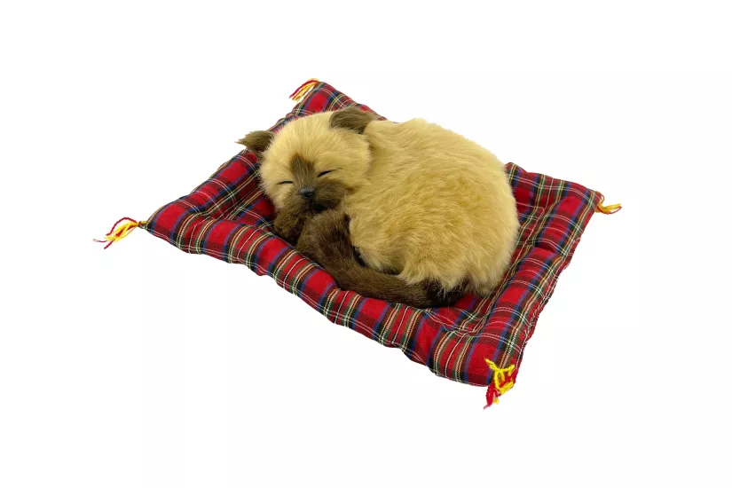 Tatlı Patiler Uyuyan Kedi Büyük Boy