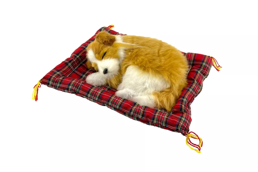 Tatlı Patiler Uyuyan Köpek Büyük Boy