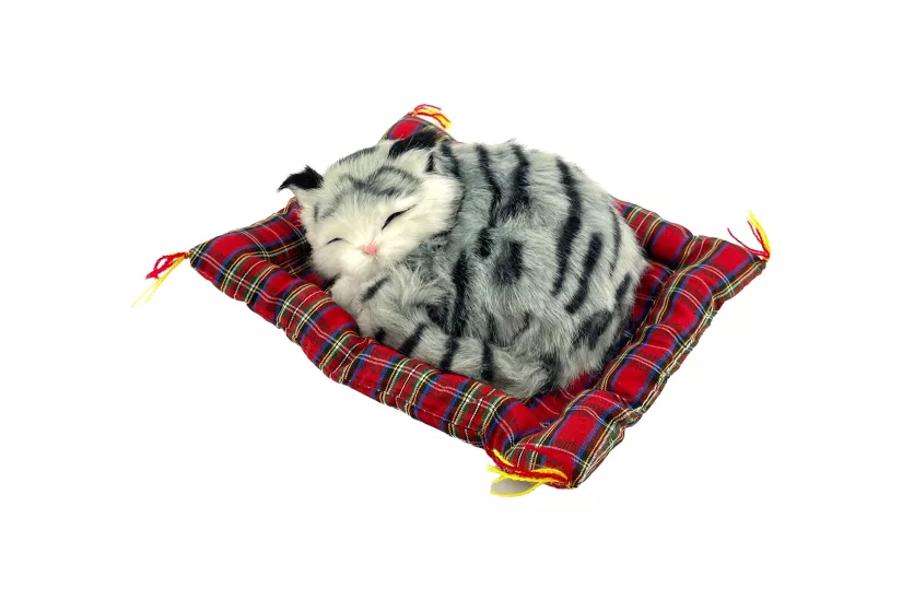Tatlı Patiler Uyuyan Kedi Büyük Boy