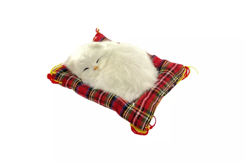 Tatlı Patiler Uyuyan Kedi