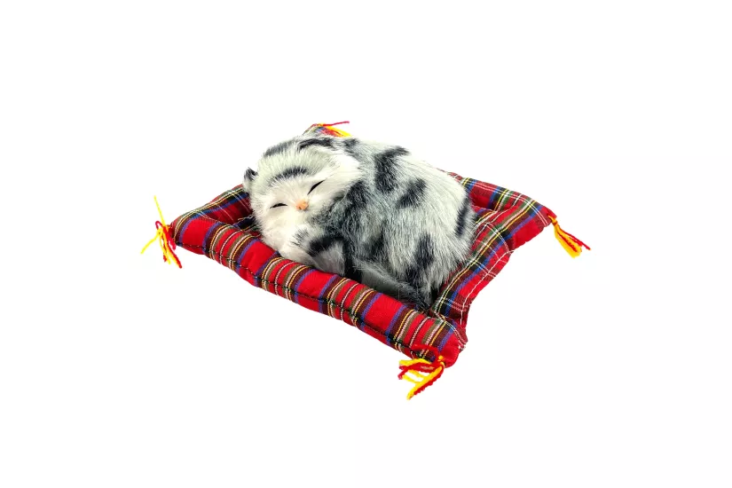 Tatlı Patiler Uyuyan Kedi
